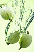 Gooseberries falling into water