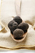 Black truffles (Chinese truffles) on wooden spoon on jute sack