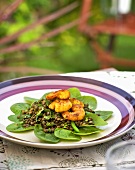 Lentil salad with breaded prawns