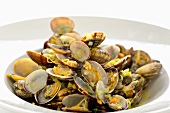 Clams with vegetables in white wine sauce