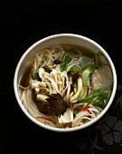 Asian noodle soup with mushrooms, pak choi and chilli