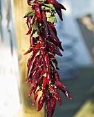 String of dried chillies and bay leaves