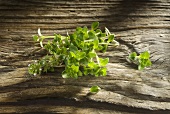 Fresh thyme on a wooden board