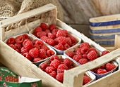 Fresh raspberries in a crate