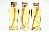 Bottled ginseng roots in three bottles
