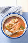 Tomato and fennel soup with redfish