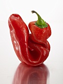 A red pepper