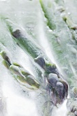 Gefrorener grüner Spargel (Close Up)
