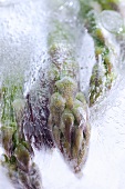 Frozen green asparagus (close-up)