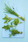 Various herbs on a chopping board