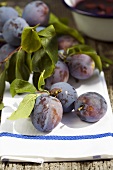 Fresh plums with leaves on a tea towel