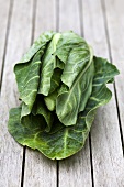 Pointed cabbage on wooden table