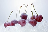 Frozen cherries