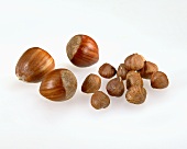 Hazelnuts, shelled and unshelled