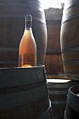 Champagnerflasche (Jaques Selosse) im Weinkeller