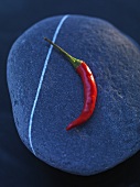 Chilischote auf blauem Stein