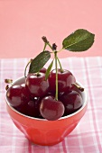Fresh sour cherries in a bowl