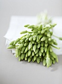 A bundle of green wild asparagus