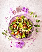 Mixed spring salad