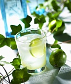 Gimlet with lime