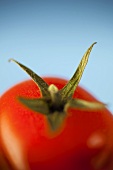 Tomato (close-up)