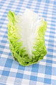 Lettuce leaf on checked tea towel