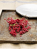 Pink peppercorns on tray