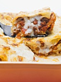 Lasagne alla bolognese (Lasagne with bolognese sauce, Italy)