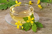 A cup of greater celandine tea