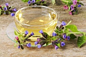 A cup of lungwort tea with fresh flowers