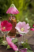 Home-made rose liqueur with hollyhock flowers out of doors