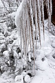 Icicles on a house roof