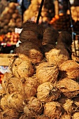 Ein Haufen Kokosnüsse auf einem Markt in Burma