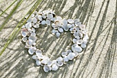Shells arranged in a heart shape on beach