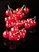 Redcurrants on red background