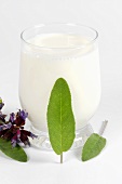 Sage milk (Household remedy for colds)