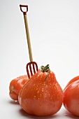 Tomato with drops of water and toy garden tool