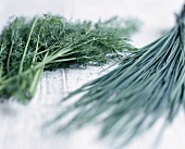 Dill and chives