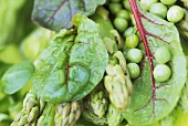 Spinach, peas and green asparagus