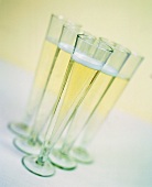 Several champagne glasses