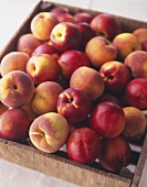 Peaches and nectarines in a wooden crate