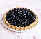 Blackberry tart