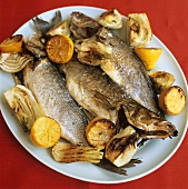 Fried sea bass with lemon and fennel