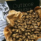 Potatoes with soil on paper sack