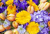 A bunch of marigolds, love-in-a-mist and tulips