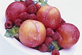 Fruit bowl with red plums and raspberries