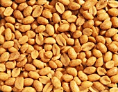 Roasted, salted peanuts