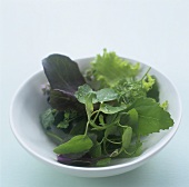 Baby greens in a bowl