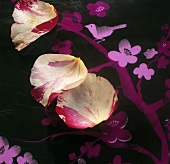Rose petals on surface with flower motif