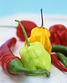 Various types of chillies